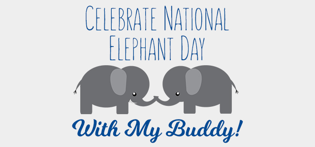 We are Celebrating National Elephant Day at Little Tikes!