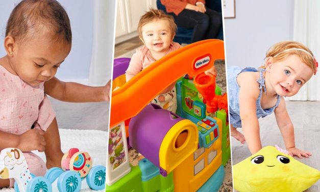 The Best Developmental Toys for Babies and Toddlers