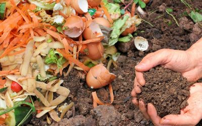 Build a Backyard Compost Bin with Your Kids