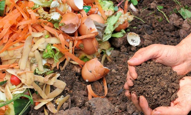 Build a Backyard Compost Bin with Your Kids